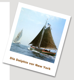 Die Torfmutte Delphin vor New York